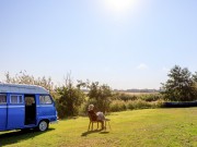Wanda in de zon