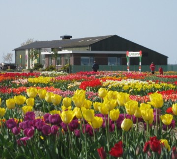 foto floratuin.jpg
