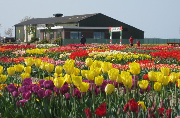 foto floratuin.jpg