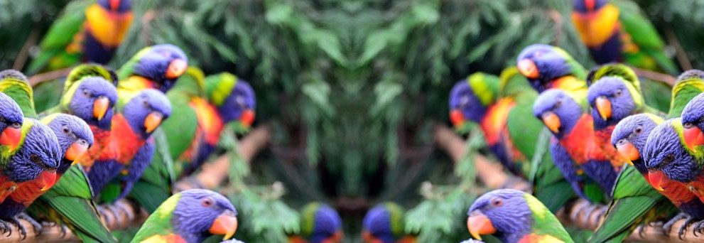header01.jpg