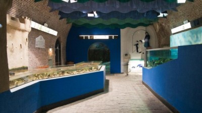Foto zeeaquarium.JPG