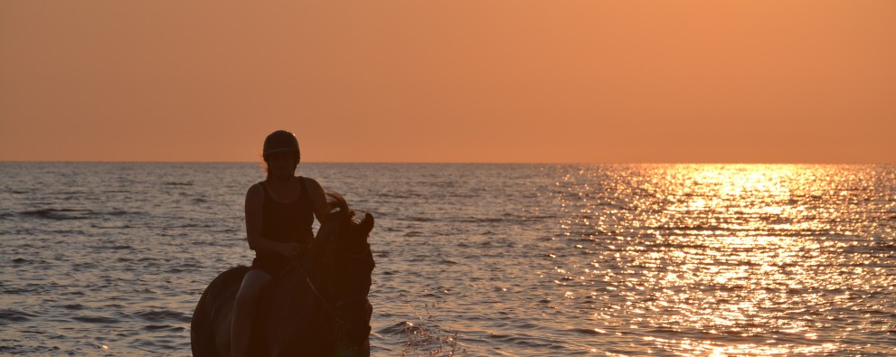 Arainne zwemmen paard zonsondergang.JPG