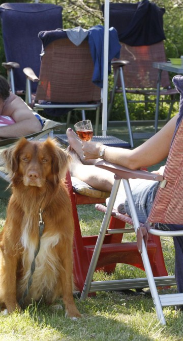 Relaxen voor tent met hond